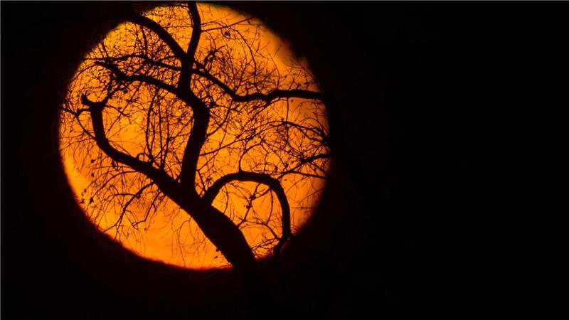 Nach dem kommenden Supermond findet der nächste in einem Jahr statt. (Archivbild)