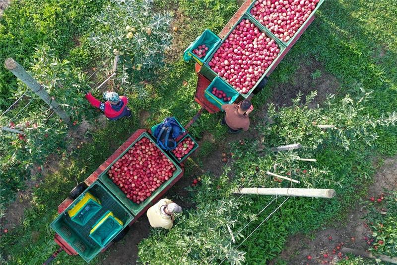 Nach dem tödlichen Unfall hat die Polizei die Ermittlungen zum Hergang aufgenommen. Foto: dpa (Symbolbild)
