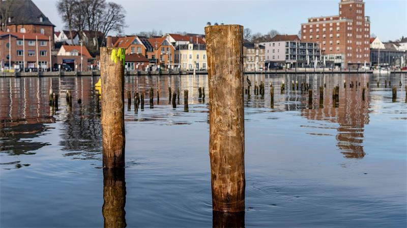 Nach den Plänen der EU-Kommission steht die Zukunft des Heringsfangs in Kappeln infrage. (Archivbild)
