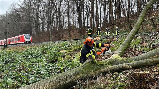 Nach der Erdung der Oberleitung zersägt ein Feuerwehrmann die umgestützte Esche auf der Bahnlinie zwischen Stade und Hamburg kurz vor dem Bahnhof Agathenburg.