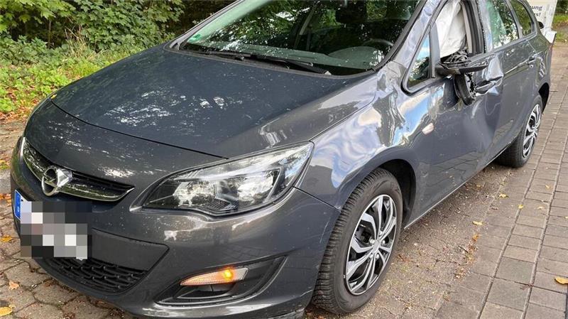 Pferd entlaufen: Wieder schwerer Unfall nach Kollision auf B73 Nach der Kollision mit dem Opel verendete das Pferd unweit der Unglücksstelle.
