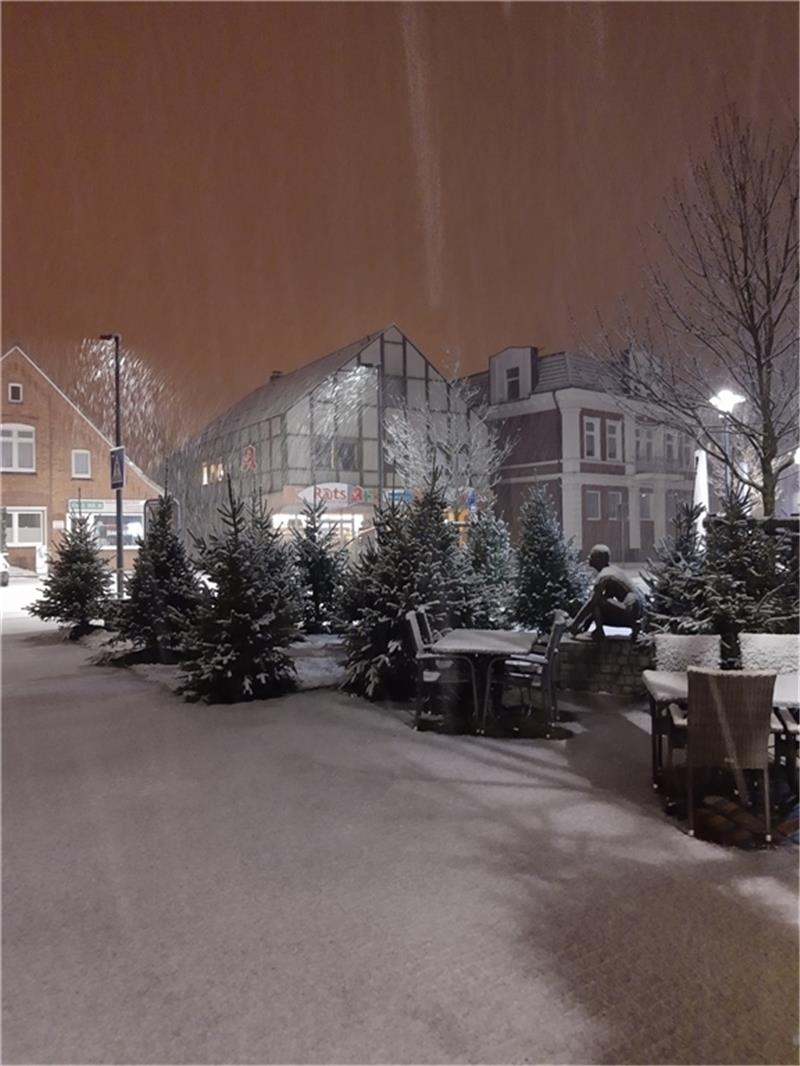 Warum in Horneburg weniger Weihnachtssterne als sonst leuchten Nach der Premiere im vergangenen Jahr: Der Winterwald soll wieder auf dem Platz am Sande aufgebaut werden. Archivfoto: Kathrin Bansemer