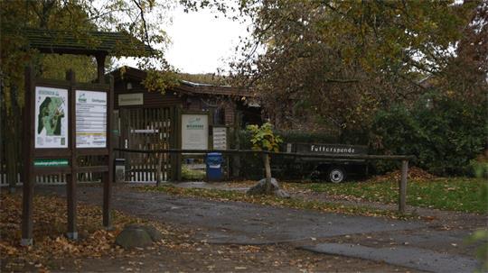 Nach der Wolfsattacke in einem Wildpark in Brandenburg prüfen Behörden die Anlagen. 