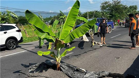 Nach einem Erdbeben der Stärke 7.8 in der philippinischen Provinz Süd-Cotabato ragen Pflanzen aus großen Rissen im Asphalt heraus.