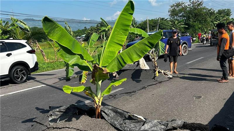 Nach einem Erdbeben der Stärke 7.8 in der philippinischen Provinz Süd-Cotabato ragen Pflanzen aus großen Rissen im Asphalt heraus.
