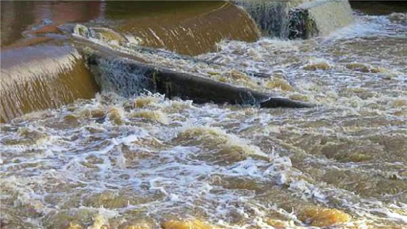 Vier Todesopfer beim Paddeln: Haft für Tourveranstalterin Nach einem Unglück auf dem walisischen Fluss Cleddau, bei dem 2021 vier Stand-up-Paddler starben, hat ein Gericht die Veranstalterin der Tour zu einer langen Haftstrafe verurteilt.