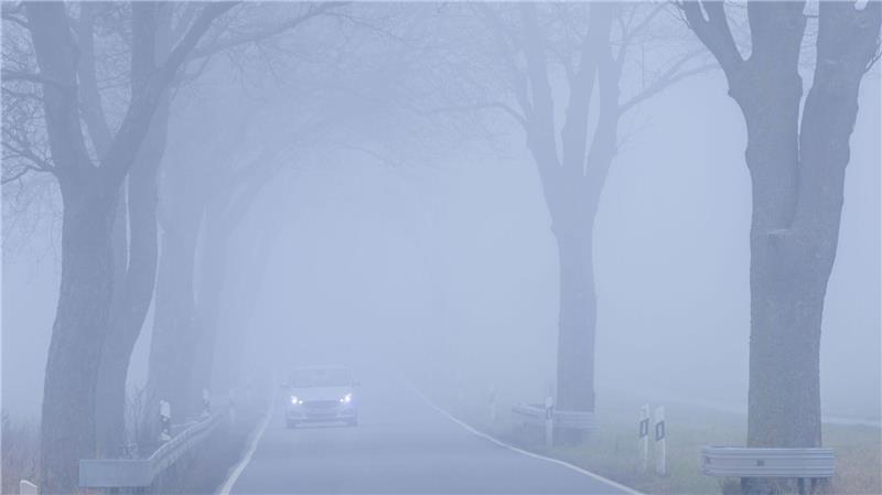 Nach einem freundlichen Start wird das Wochenende im Norden zunehmend neblig und trüb. (Symbolbild)