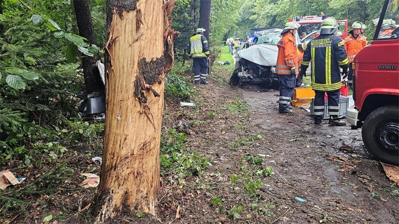 Crash auf B495: Rettungshubschrauber bringen Schwerverletzte in Kliniken Ein beschädigter Baum und Einsatzkräfte.
