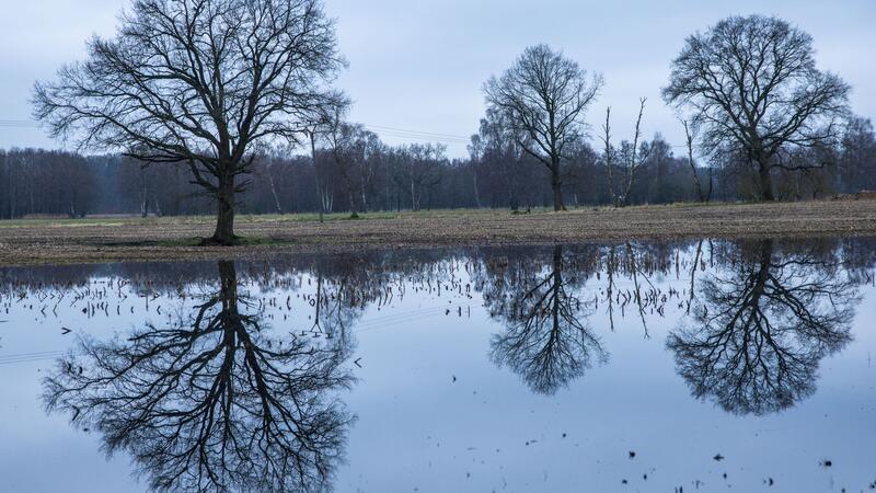Landwirte hoffen auf trockenes Frühlingswetter Nach einem regenreichen Winter mit Überschwemmungen hoffen die Landwirte auf einen trockenen Frühling.