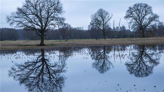 Nach einem regenreichen Winter mit Überschwemmungen hoffen die Landwirte auf einen trockenen Frühling.
