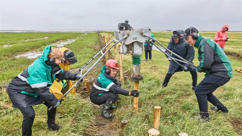 Klimakrise fordert Küstenschutz – Wasserbauer im Einsatz Nach einer kurzen Einweisung durfte der Besuch aus Kiel mit anpacken.