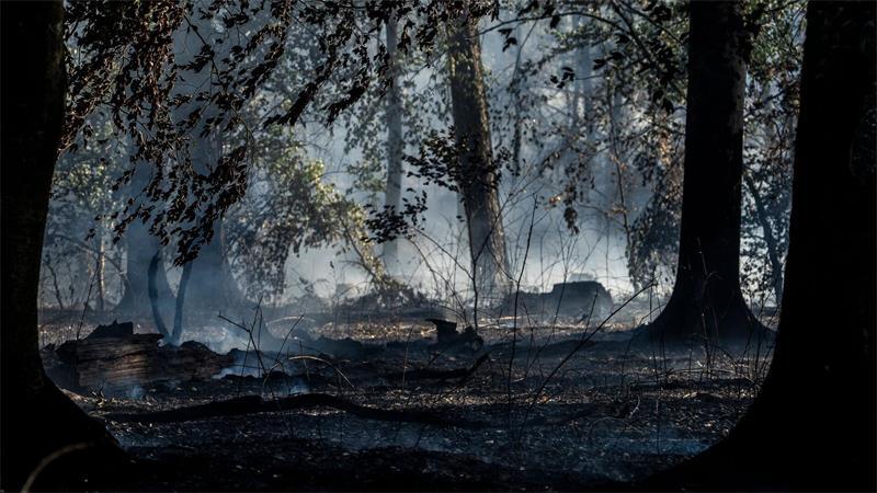 Waldbrand: „Bitte verzichten Sie möglichst aufs Duschen“ Nach ersten Schätzungen soll eine Waldfläche von mehreren tausend Quadratmetern betroffen gewesen sein.