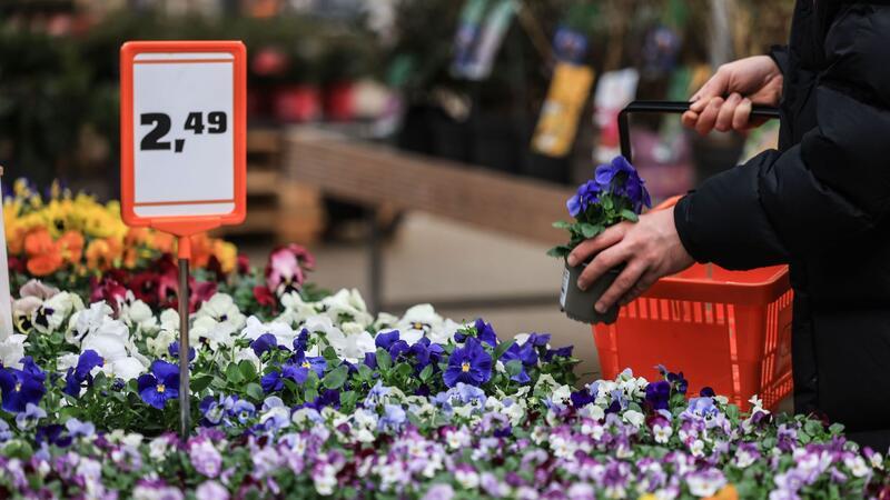 Nach gutem Start ins Jahr verzeichneten die Bau- und Gartenfachmärkte in Deutschland wegen des schlechten Wetters zuletzt einen Umsatzeinbruch. 