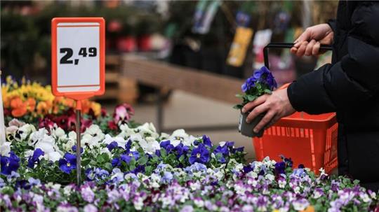 Nach gutem Start ins Jahr verzeichneten die Bau- und Gartenfachmärkte in Deutschland wegen des schlechten Wetters zuletzt einen Umsatzeinbruch. 