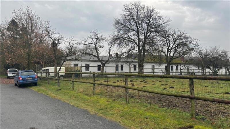 Nachdem das Veterinäramt verschiedene Mängel festgestellt hatte, wird der Tiergnadenhof nun keine Fundtiere mehr aufnehmen.