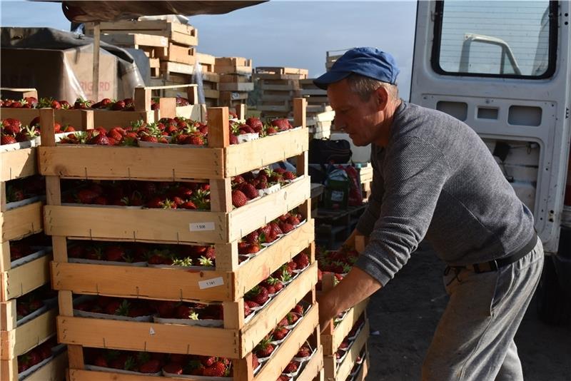 Nachdem er das Obst nach Pippensen gefahren hat, hilft Leszek Zwolak auch beim Aufbau.