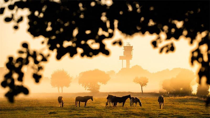 Nachdem sich die morgendliche Kühle verzogen hat, wird es wieder Sommer. 
