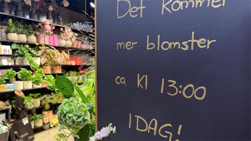 Nachschub ist unterwegs: Noch heute kommen neue Blumen im Laden an.