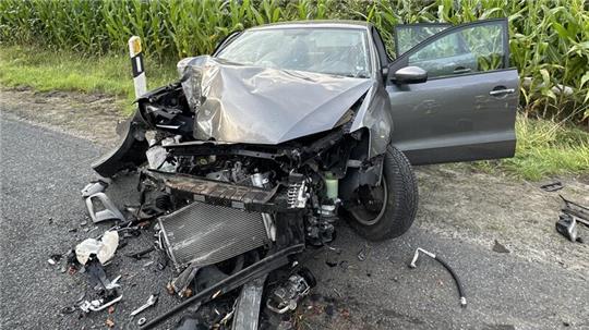 Nahe Hagen im Bremischen kracht der Fahranfänger frontal gegen einen Baum.