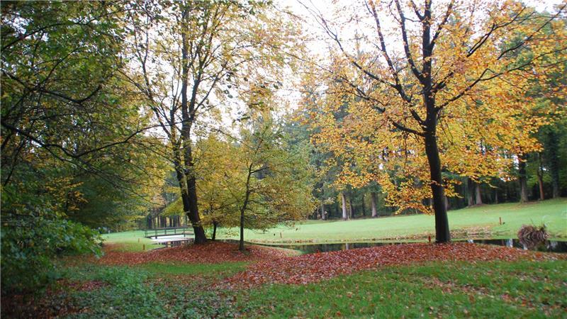 Jägerin aus Deinste fordert: „Wir brauchen ein gutes Wolfsmanagement“ Naherholung: Der Schrankenwald hinter der Deinster Mühle gehört zu den ältesten Wäldern in der Region.