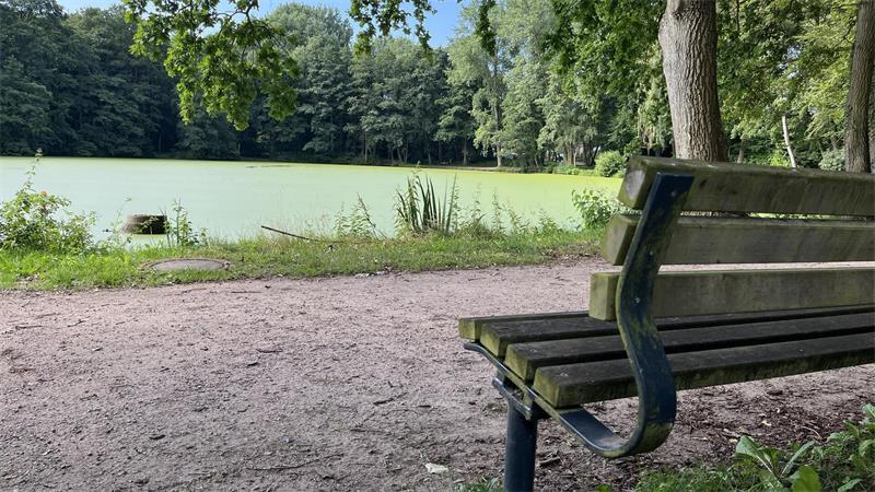 Wasser marsch: Fontäne im Harsefelder Klosterteich jetzt in Betrieb Naherholung mitten in Harsefeld.