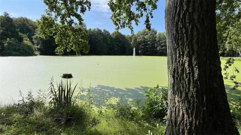 Wasser marsch: Fontäne im Harsefelder Klosterteich jetzt in Betrieb Naherholung mitten in Harsefeld - jetzt auch mit Fontäne.