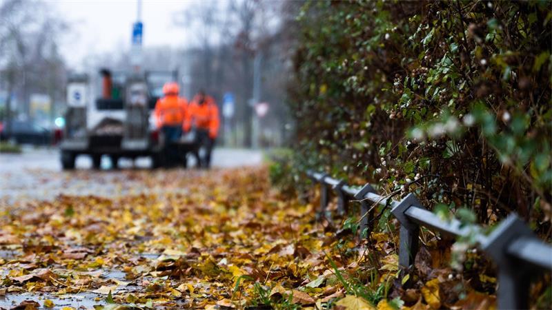 Nasses Laub: Gerade für Ältere können solche Stürze schwerwiegende Folgen haben.