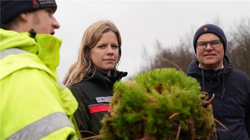 Nasses, grünes Torfmoos soll im Grotmoor wieder wachsen.