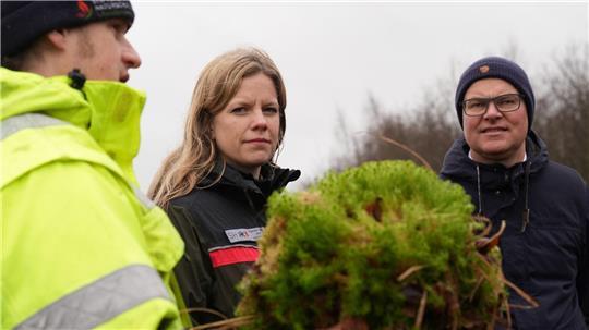 Nasses, grünes Torfmoos soll im Grotmoor wieder wachsen.