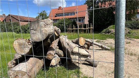 Natur statt Beton: Blick auf die Baumstämme und die Hügel im Naturerfahrungsraum in Jork-Borstel.