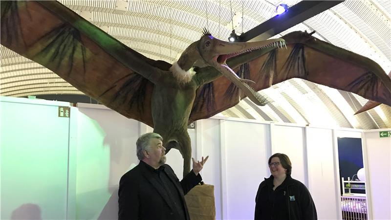 Trotz Brückensperrung: Natureum zählt in diesem Jahr 36.000 Besucher Natureum-Geschäftsführer Lars Lichtenberg und Kuratorin Petra Nikolay im Gespräch über den Flugsaurier Pteranodon.