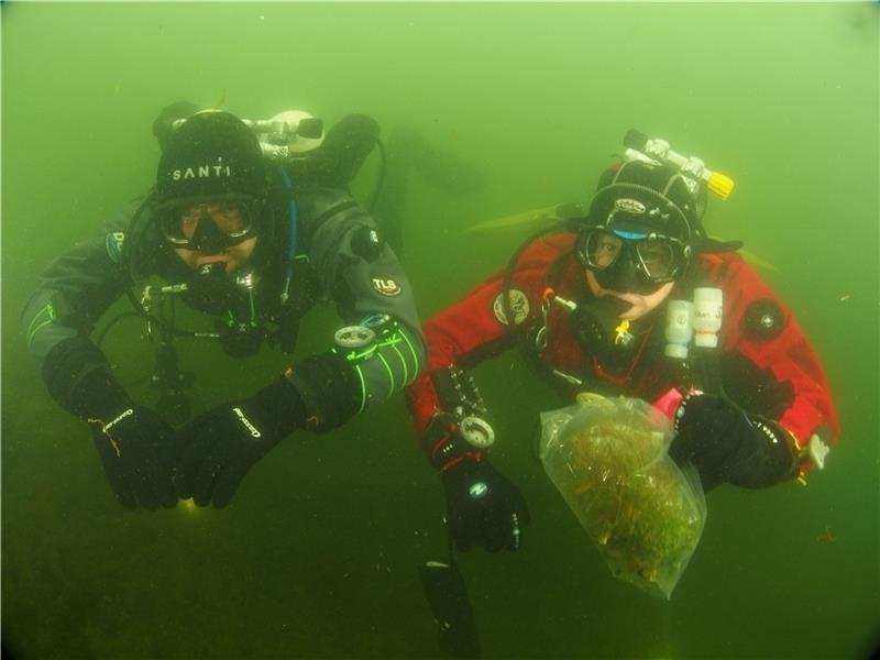 Naturschutz: Die Taucher Andreas Ofiara und Robert Fluck der Tauch- und Wassersportgemeinschaft Nordland sammeln Wasser- und Pflanzenproben im Baggersee am Schragenberg in Nottensdorf – in Kooperation mit dem Nabu-Kreisverband. Fotos: Wedek