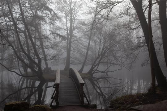 Nebel im Park des Schlosses Agathenburg. Foto: Manfred Galle
