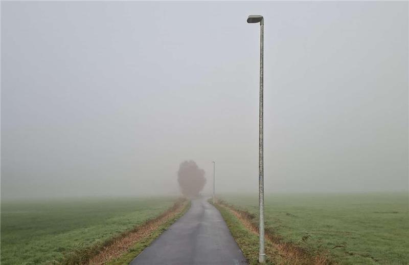 Nebeliges Wetter in den Schölischer Wiesen.
