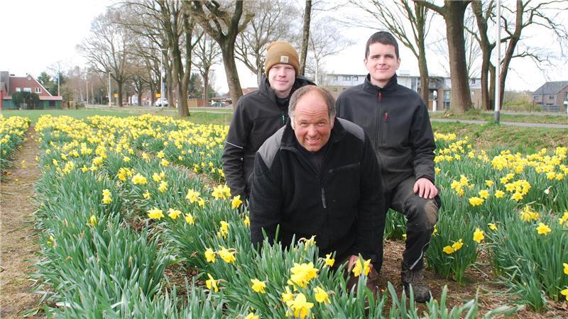 Neben Ackerbau und Viehzucht sorgen sie auch für Blütenpracht: Landwirt Heinrich Dammann, Jon Martens (links) und Sohn Cord (rechts).