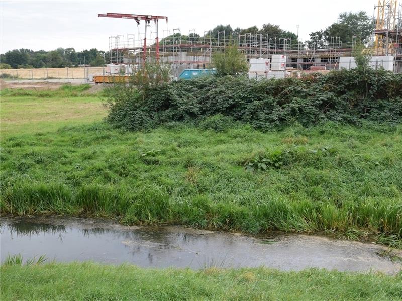 Neben der Hollerner Moorwettern entsteht das Kreisjugendamt, im Hintergrund der Sanddamm. Foto: Strüning