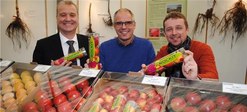 Neue Sorten: Stefan Moje (DOSK), Joerg Hilbers (Esteburg) und Dirk Zabel (DOSK) mit dem Snack-Apfel „Rockit“ und der Sorte GS66 (von links). Foto Vasel