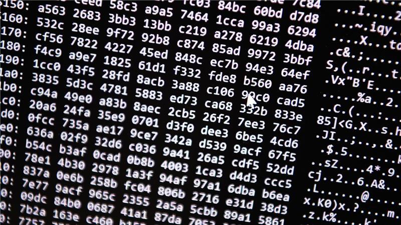 Neue Tools ermöglichten einen Schlag gegen ein Betrugs-Netzwerk im Darknet. (Symbolbild)