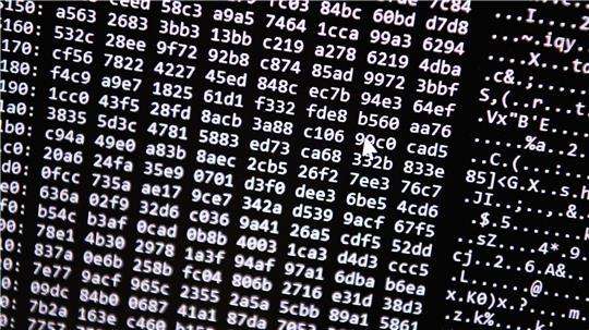 Neue Tools ermöglichten einen Schlag gegen ein Betrugs-Netzwerk im Darknet. (Symbolbild)