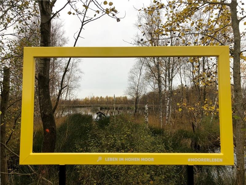 Das gibt es auf dem Erlebnispfad in Oldendorf zu entdecken Neuer Rahmen für das wiedervernässte Moor – der Erlebnispfad erklärt, macht neugierig und lässt neue Blicke auf alte Natur-Schönheiten zu.