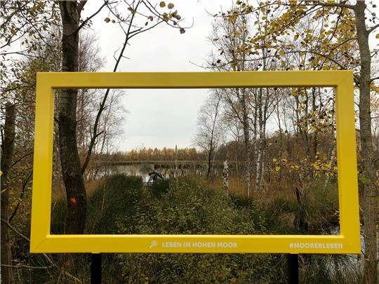 Neuer Rahmen für das wiedervernässte Moor – der Erlebnispfad erklärt, macht neugierig und lässt neue Blicke auf alte Natur-Schönheiten zu.