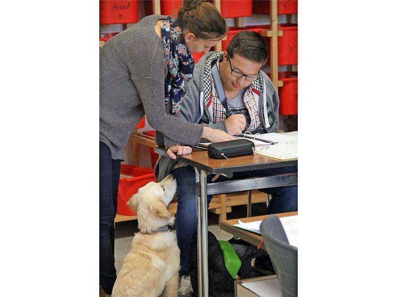 Neugierig schaut Schulhündin Ida zu, wie Annika Fuhrmann einem Schüler die Deutschaufgabe erklärt.