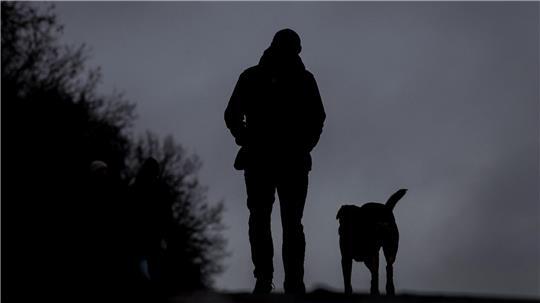 Nicht allen Hundehaltern gefällt es, wenn ihr Tier gestreichelt wird.