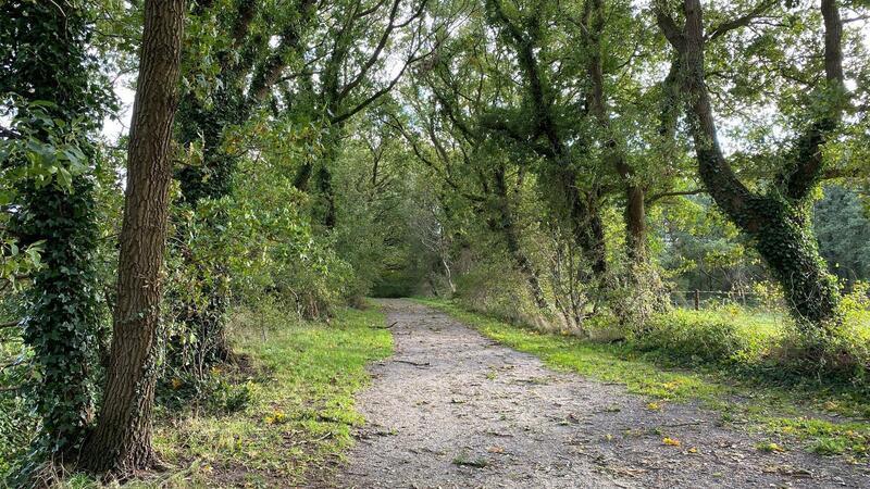 Nicht auf direktem Wege fuhr Kurt-Werner Wichmann mit den beiden Anhalterinnen nach Cuxhaven. Erst ging es geht über einen von Bäumen gesäumten Feldweg wie diesen. Zwischen Altenwalde und Cuxhaven gibt es davon einige.