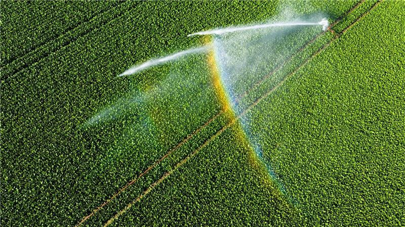 Bauern reagieren auf Trockenheit: Mehr Bewässerung und Soja Nicht einmal fünf Prozent der landwirtschaftlichen Fläche kann bewässert werden.