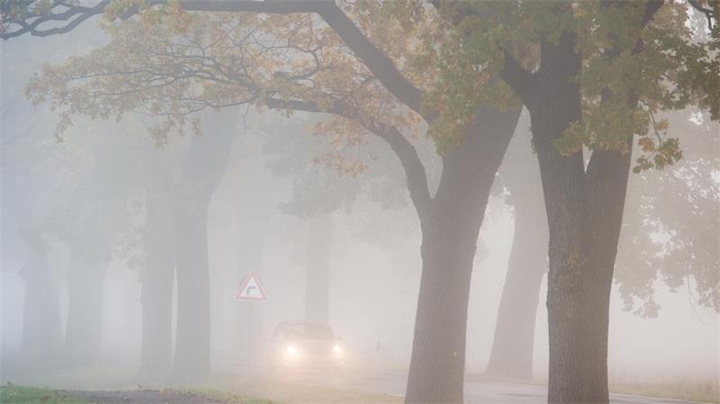 Nicht immer verlässlich: Lichtautomatiken erkennen Nebel oder diesiges Wetter nicht zuverlässig. 