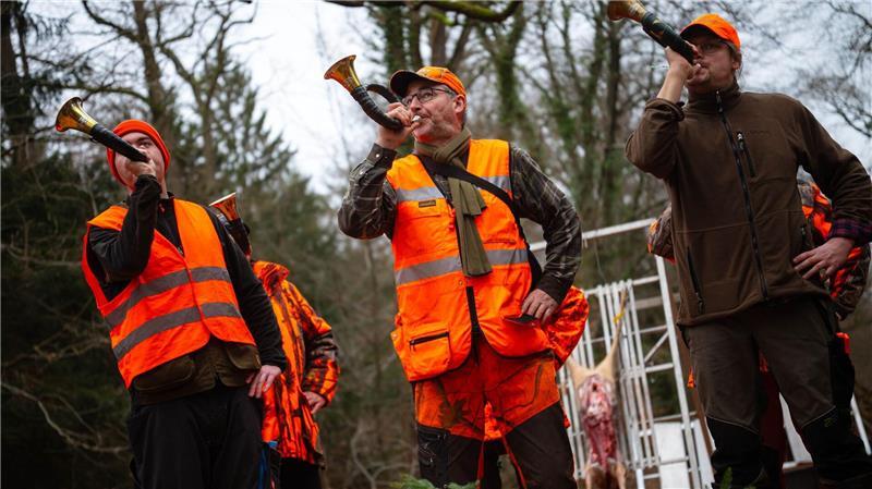 Nicht nur Männer, auch Frauen interessieren sich für die Jagd. (Archivbild)