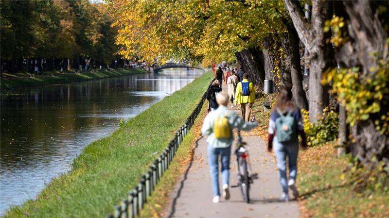 Wo es Zecken-Alarm jetzt auch im Herbst gibt Nicht nur im Nymphenburger Park - in Parks mit alten Bäumen und vielen Wildtieren fühlen sich auch Zecken wohl. (Archivfoto)