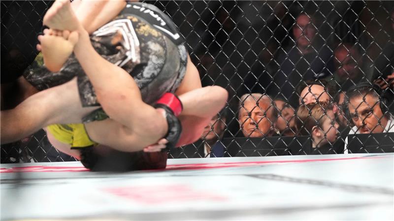 Käfigkampf vor dem Weißen Haus - Trump feiert 80. Geburtstag Nicht selten wird einer der UFC-Kämpfer im Ring bewusstlos geprügelt.