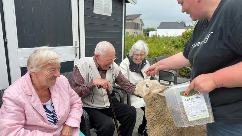 Esel, Schaf und Co. besuchen Senioren in Drochtersen Nicole Neumann vom Tierschutzhof Neumann besucht mit Schaf Hasi und anderen Tieren die Tagespflege